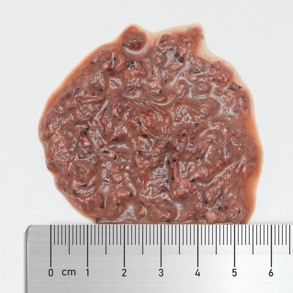 Arctic Plankton 100% natural