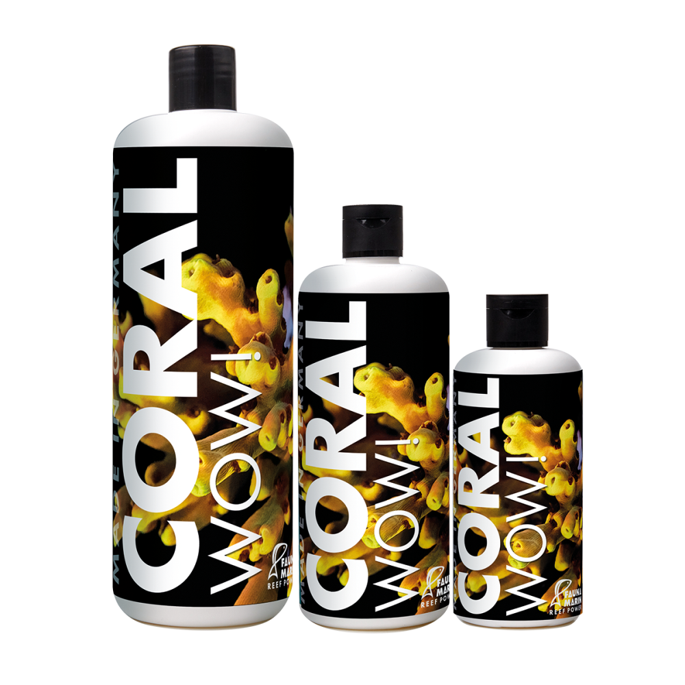 Coral WOW ! 500ml