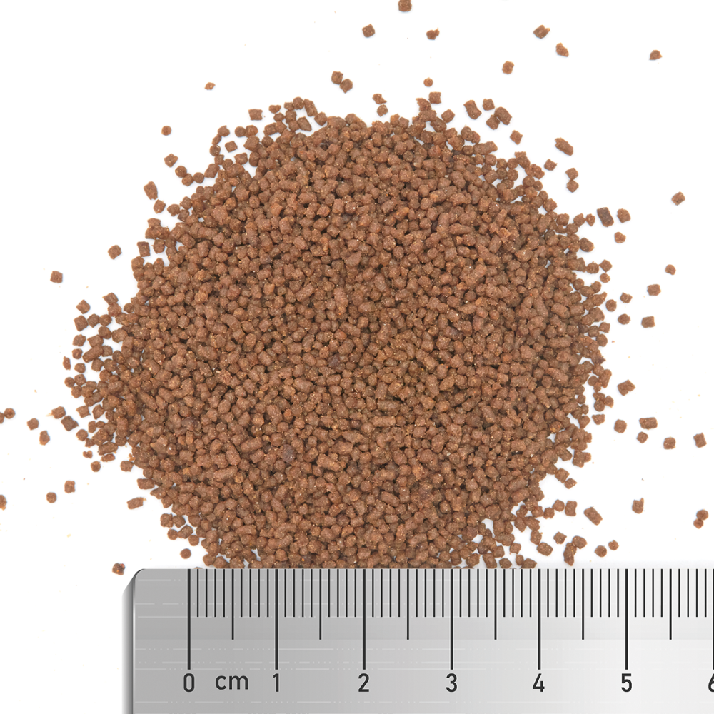 LPS Grow + Color M 60g