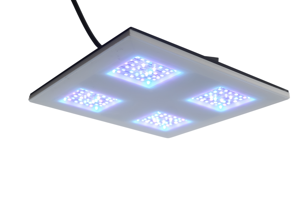 Gravity22 2x2 Modul 60 Watt 200x200x10mm