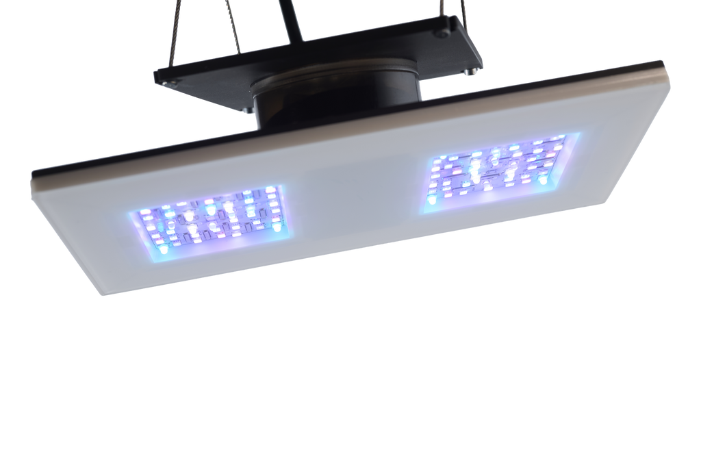 Gravity21 2x1 Module 30 Watt 200x100x10mm